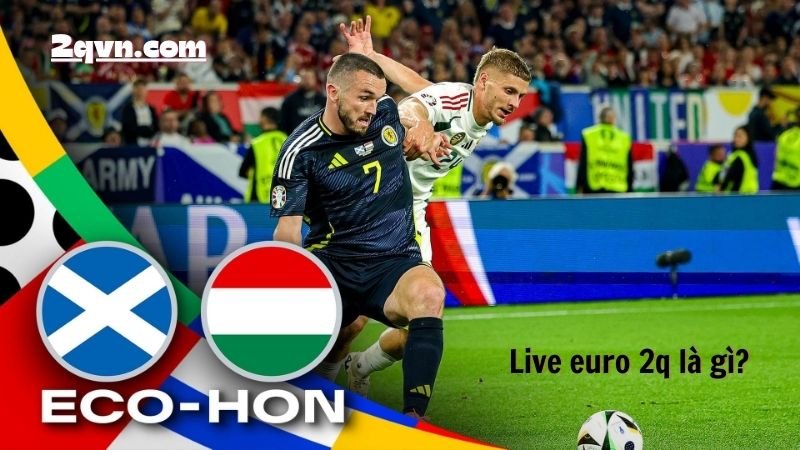 Live euro 2q là gì?