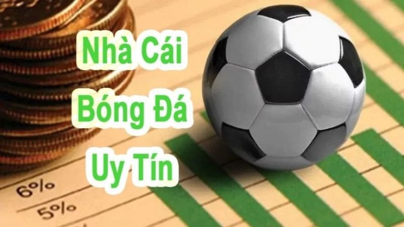 Các yếu tố quan trọng khi lựa chọn nhà cái uy tín