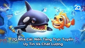 2Q Nhà Cái: Nền Tảng Trực Tuyến Uy Tín Và Chất Lượng