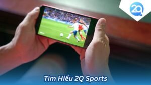 tim-hieu-2q-sports (4)